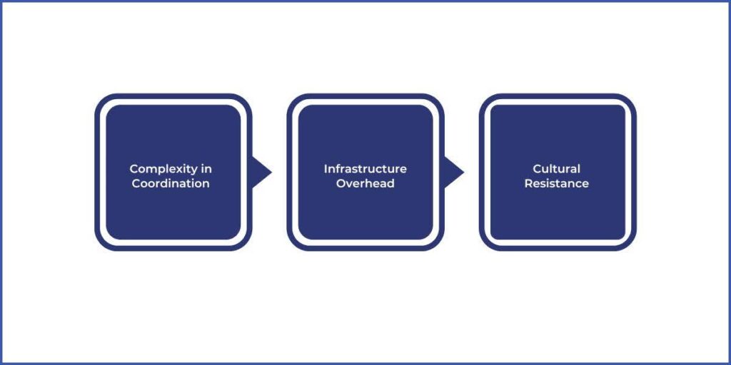 challenges and criticisms of data mesh