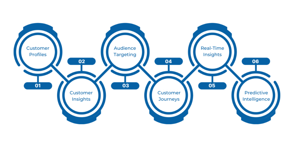 Features of Dynamics 365 Customer Insights